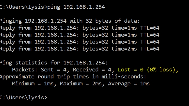 Screenshot eines erfolgreichen Ping-Befehls im Terminal.