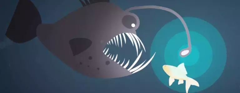 Illustration of an anglerfish luring a smaller fish in the dark