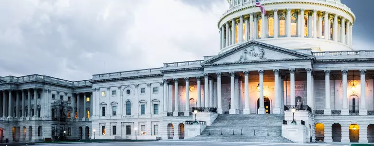 Government