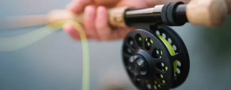 How to FIght Phishing