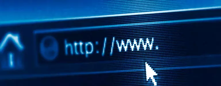 Closeup a search bar on an internet browser
