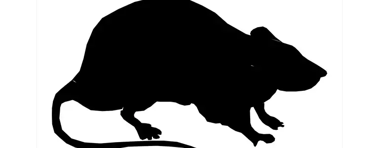 Representing the Trojan (RAT) called FlawedAmmyy
