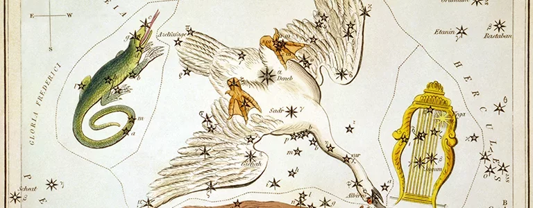 Antique map of constellations featuring a goose