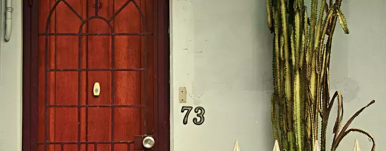 Door with the number 73 next to it and a cactus