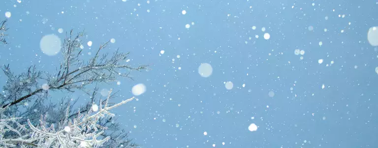 Snow 