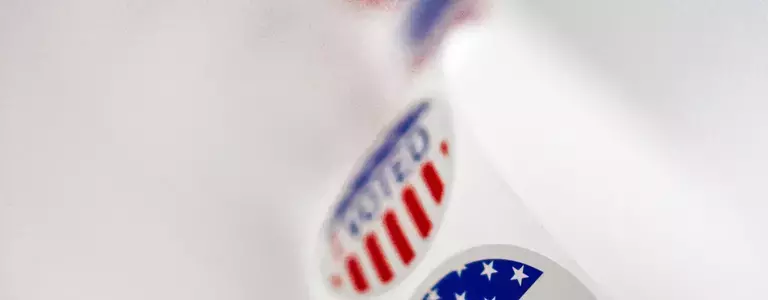 vote