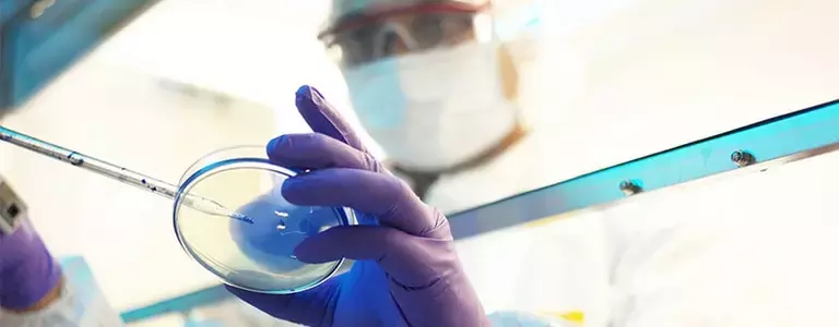 Lab technician using a pipette on a petri dish