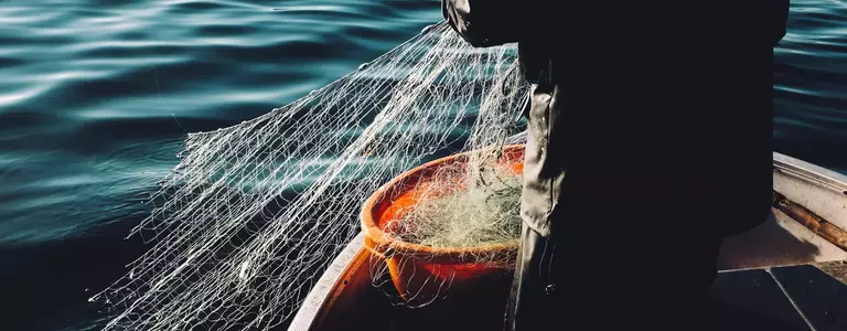 hishing is one of the oldest and most pervasive cybersecurity threats. Learn about phishing, how phishing works, and how to protect against it